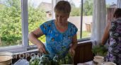 Вкус как из бочки: старинный рецепт соленых огурцов, который покорит каждого в семье