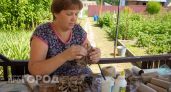 Втулки от туалетной бумаги больше не выкидываю: сделала стильный светильник для дачи