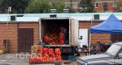 Какой перец полезнее: зеленый, красный или желтый - точный ответ