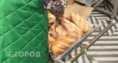 Какой хлеб полезнее - черный или белый: запоминаем точный ответ