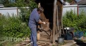 Обычные дачные туалеты уже прошлый век: продвинутые хозяева выбирают био-варианты, которые стоят как пара ужинов в кафе