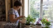 Выкиньте срочно: шесть домашних растений, которые притягивают беды и портят здоровье