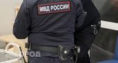 Хитрая женщина из Новоторъяльского района перевела себе деньги с чужого телефона и села на 2 года