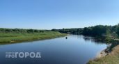 В Марий Эл вступили в силу правила борьбы с чужеродными растениями
