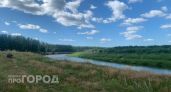 В Марий Эл подсчитали ущерб от пожаров