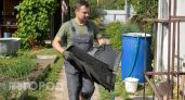 Скупаю в «Светофоре» обычные резиновые коврики для авто: приспособила их на даче — соседи не верят глазам