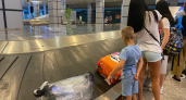 Зачем опытные путешественники всегда кладут в чемодан прищепки: вот что они знают, а новички нет