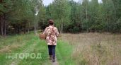 Семь локаций в Марий Эл, где ведрами собирают белые грибы