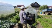 Старые пластиковые ящики от овощей — золото: вот 5 идей, как сделать из них дачную мебель