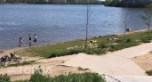 Зеленые разводы на Малой Кокшаге напугали жителей Йошкар-Олы