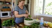 Огурцы «Боярский хруст» кручу по 30 банок: открываю зимой — рассол чистый, огурчики звонкие