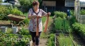 Скупаю в «Светофоре» самые дешевые капроновые колготки: на даче они творят чудеса — 5 неожиданных применений