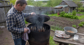 Рыбаки в Астрахани больше не коптят рыбу по-старому: этот трюк с чайным листом меняет вкус навсегда