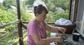Купила в «Чижике» обычные пластиковые прищепки, но не для белья: показываю, как они спасают мои растения от птиц