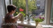 Вместо дорогих фитоламп — обычные светодиоды: как я добилась пышного цветения на подоконнике за 200 рублей