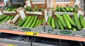 Сколько огурцов можно съедать в день: главное не переборщить