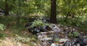 6 свалок мусора нашли в лесах Медведевского района