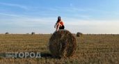 Овнов ждет крутой вираж судьбы, а Рыб - приятные совпадения