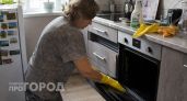Можно ли действительно отмыть духовку до блеска обычной таблеткой для посудомойки: мой эксперимент