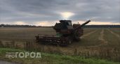 В деревне Ямолино покажут сорта капусты и картофеля отечественной селекции