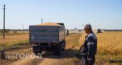 Почти 4 тысячи тонн пшеницы ввезли в Марий Эл, но с нарушениями