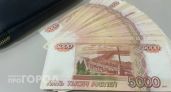 В Звениговском районе юношу запугали обыском и забрали 2,5 миллиона