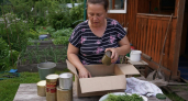 Консервные банки тащу к себе на дачу коробками: столько всего из них можно сделать — теперь ни одна не пропадает