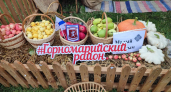 В Горномарийском районе состоится ежегодная республиканская выставка «День овощного поля - 2026»