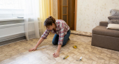 Линолеум и ковролин уже «прошлый век»: строители нашли новый материал — выглядит как дерево, а моется как кафель