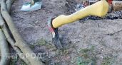 Полицейский в Моркинском районе отбил топор, с которым на него летел буйный мужчина