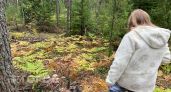 Восемь жителей Марий Эл заразились опасной болезнью в лесу, на дачах и дома