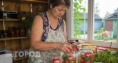 Помидоры по-итальянски: один секрет в маринаде, и вкус получается как в дорогом ресторане
