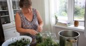 Огурцы «По-королевски»: один секретный ингредиент в составе - и закуска станет главной на столе