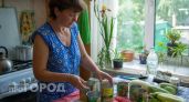 Банки из-под горошка и кукурузы никогда не выбрасываю: вот как приспособила их на даче - 6 вариантов