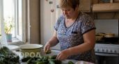 Огурцы пролежат свежими до Нового года без всякой консервации: простой способ