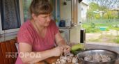 Чеснок не высохнет до самой весны: 3 простых способа хранения без погреба