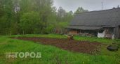 Эта бюджетная крупа превратит почву в чернозем в сентябре: дешево и эффективно