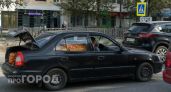 Съездила в Абхазию на сбор мандаринов и хурмы: сколько смогла заработать
