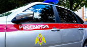 Молодую преступницу искали по всей России, а нашли в Марий Эл