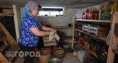Одно ведро в угол - и никакой сырости и конденсата: готовим погреб к зимнему хранению