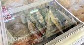 Обошла по пользе дорогую форель: ученые назвали рыбу, которая должна быть в рационе каждой семьи