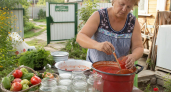 "Ленивая" аджика на зиму: получается остренькой и ароматной — открываю банку зимой и чувствую вкус лета