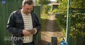 Простой кусок дегтярного мыла защитит дачу на всю зиму: городские не знают этот трюк и тратят тысячи на химию