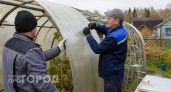 Снял с теплицы весь поликарбонат и заменил на покрытие за копейки: служит уже 10 лет и никакой пыли