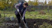 Нужно ли перекапывать огород осенью или лучше оставить до весны: мудрый совет старых дачников
