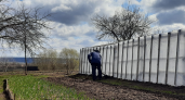 Закапываю объедки в теплице всю зиму: а летом собираю урожай, которому завидуют соседи