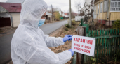 В Волжске ввели карантин по бешенству в районе улицы Спортивной