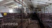 Район в Марий Эл закрыли на карантин из-за опасной болезни