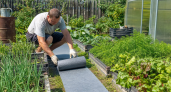Больше не лью бетон на даче: заказал с Wildberries резиновую ленту за копейки — не скользит и не крошится 