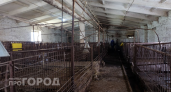 Карантин в Сернурском районе, задержание мошенников и экономические показатели: главные новости за 7 сентября